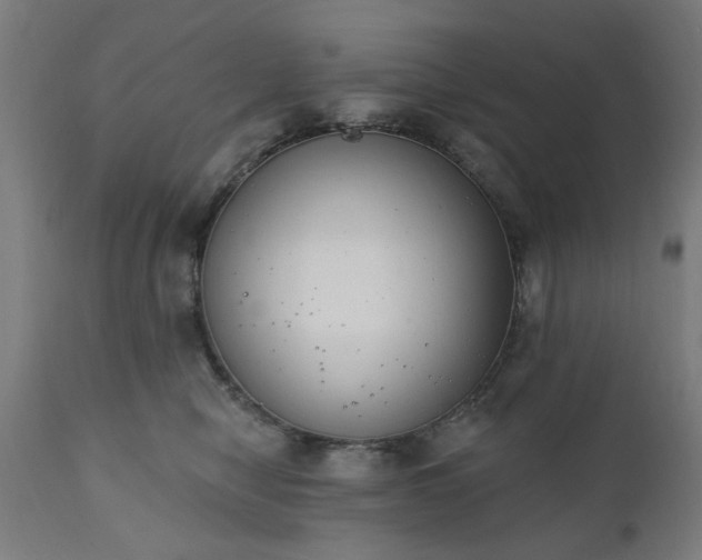 X0000111830470200907301324
