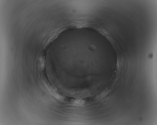 X0000111830471200907301324