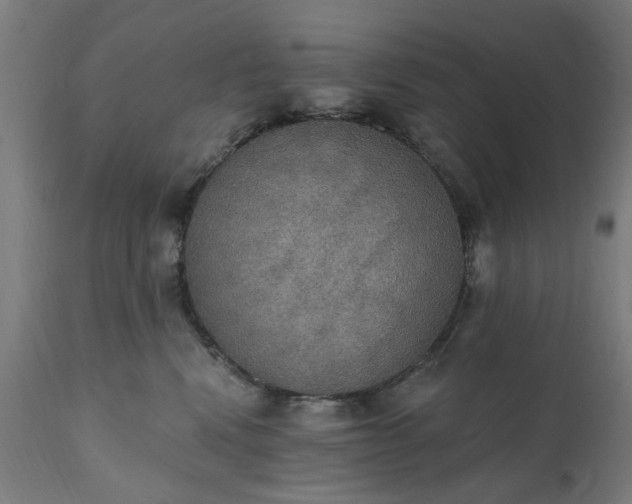 X0000111830472200907301324