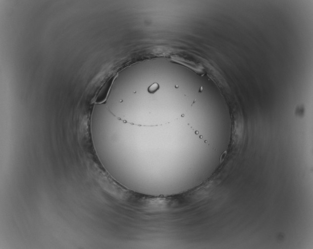 X0000111830473200907301324