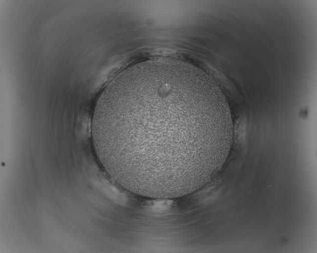 X0000111830474200907301324