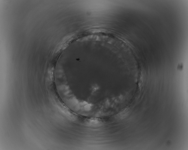 X0000111830475200907301324