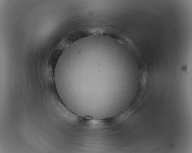 X0000111830477200907301324