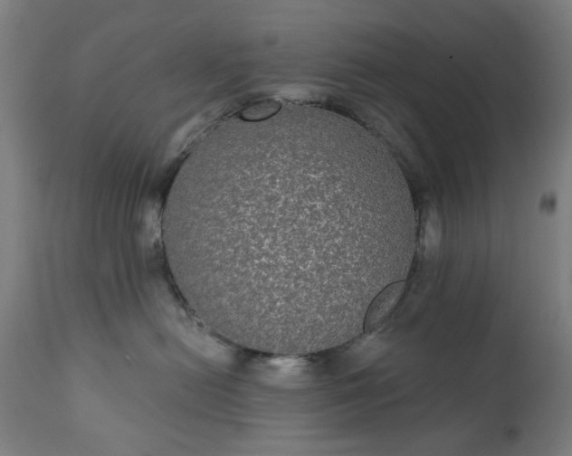 X0000111830478200907301324