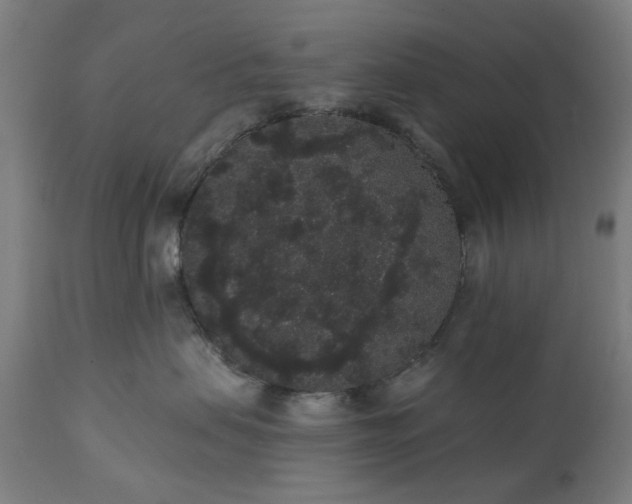 X0000111830479200907301324