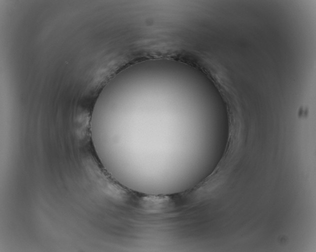 X0000111830480200907301324