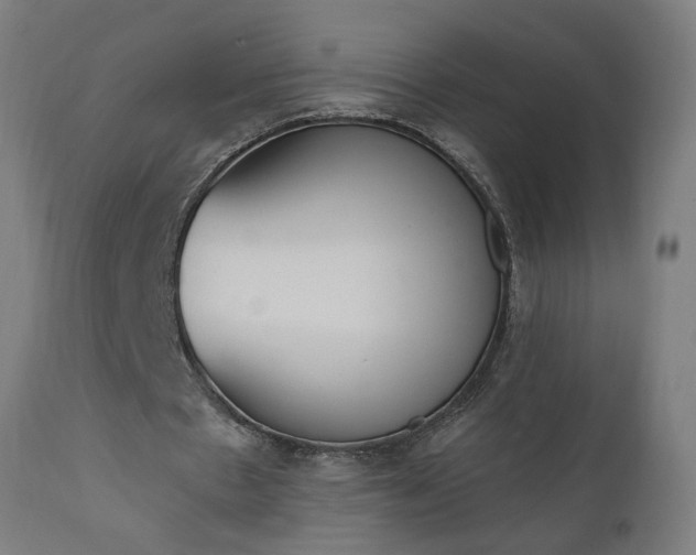X0000111830481200907301324