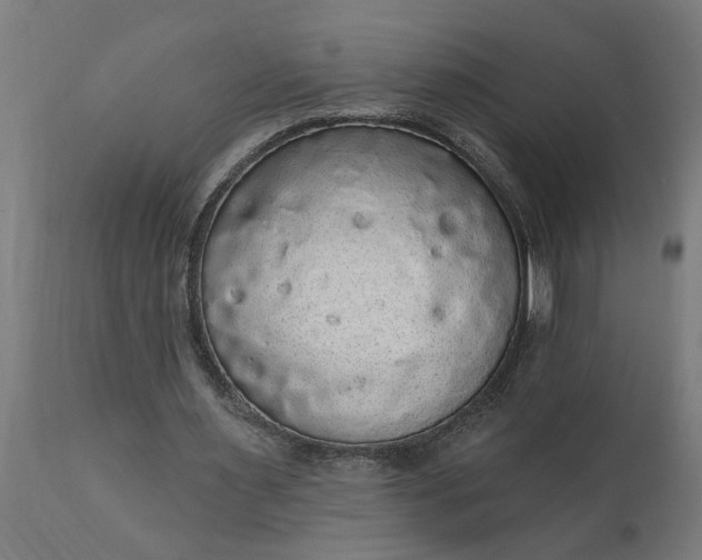 X0000111830483200907301324