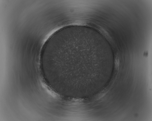 X0000111830484200907301323