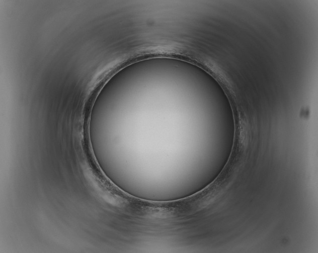 X0000111830486200907301323