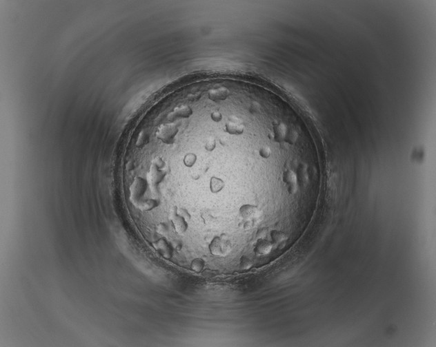 X0000111830487200907301323