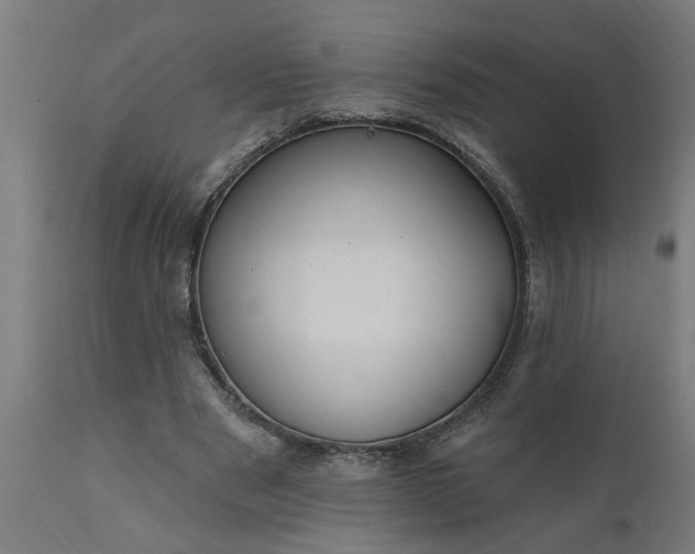 X0000111830489200907301323