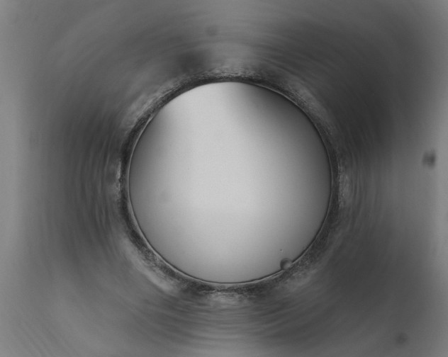 X0000111830490200907301323
