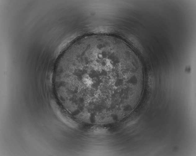 X0000111830491200907301323