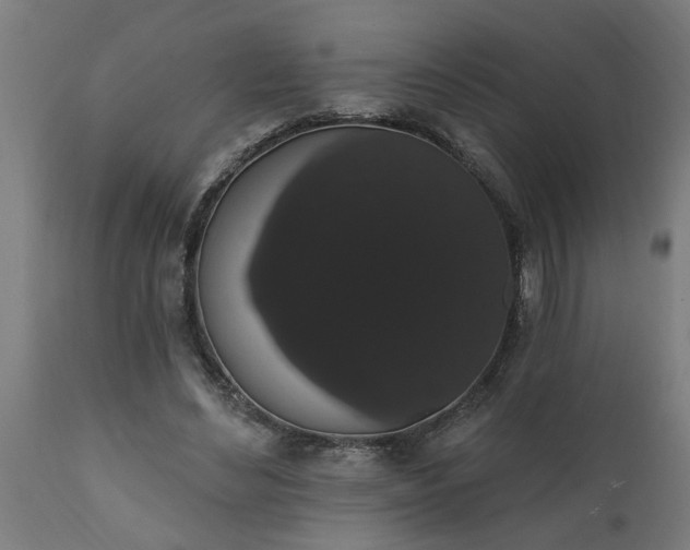 X0000111830492200907301323