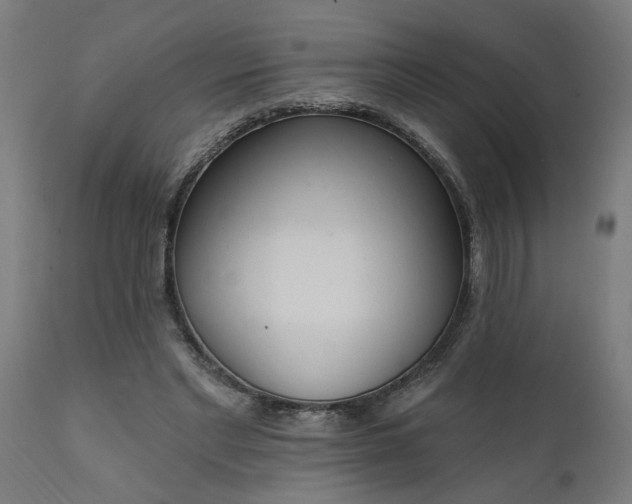 X0000111830493200907301323