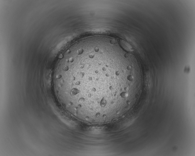 X0000111830495200907301323