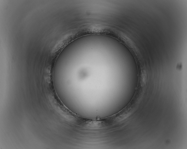 X0000111830497200907301323