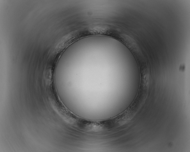 X0000111830498200907301323