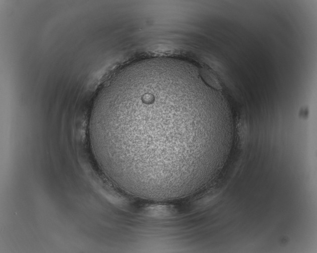 X0000111830499200907301323