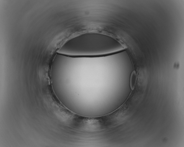 X0000111830501200907301323