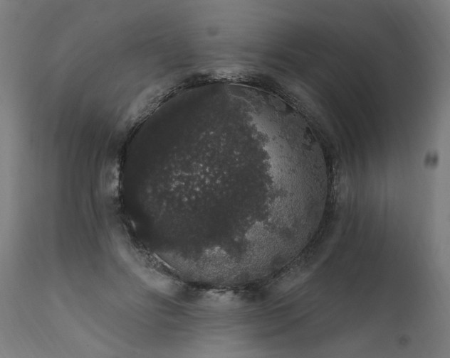 X0000111830502200907301323