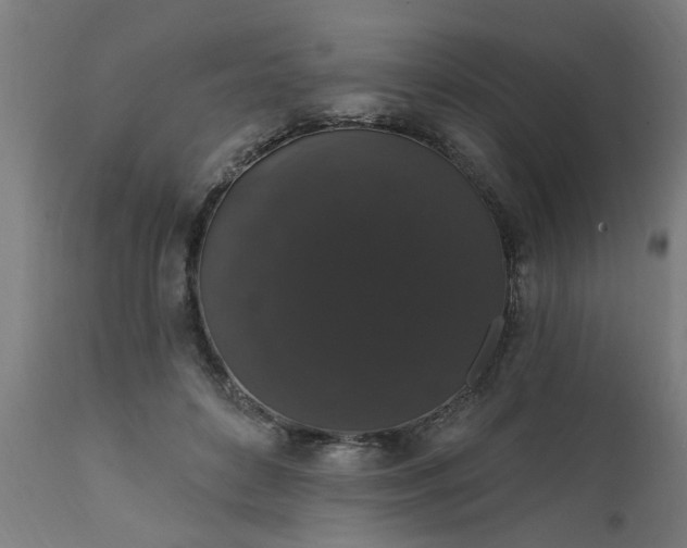 X0000111830504200907301323