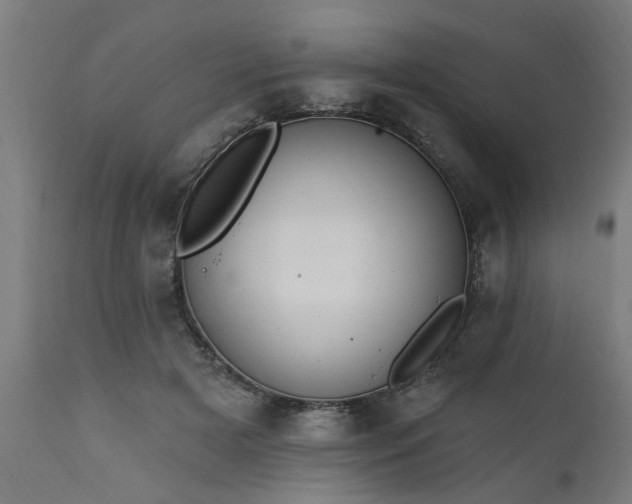 X0000111830505200907301323
