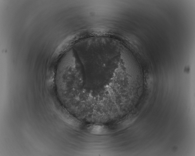 X0000111830507200907301323