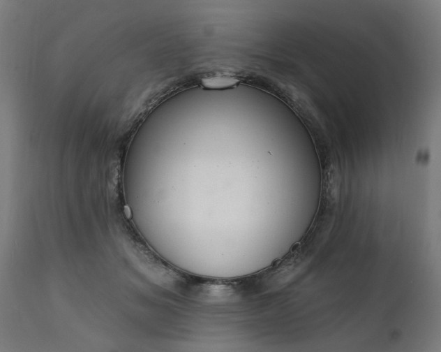 X0000111830509200907301323