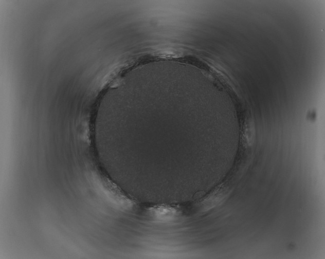 X0000111830512200907301323