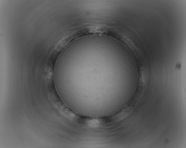 X0000111830513200907301323