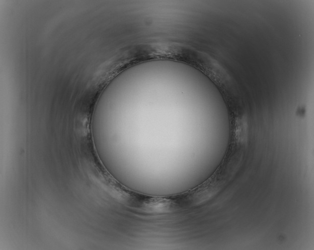 X0000111830514200907301323