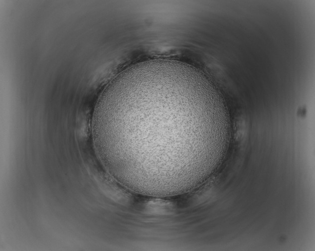 X0000111830515200907301323