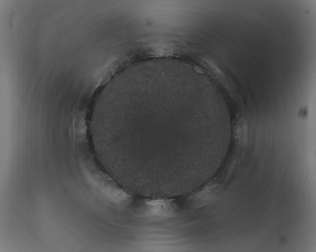 X0000111830516200907301323