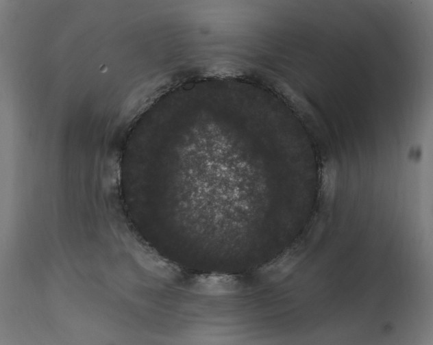 X0000111830517200907301323