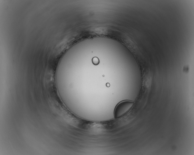 X0000111830518200907301323