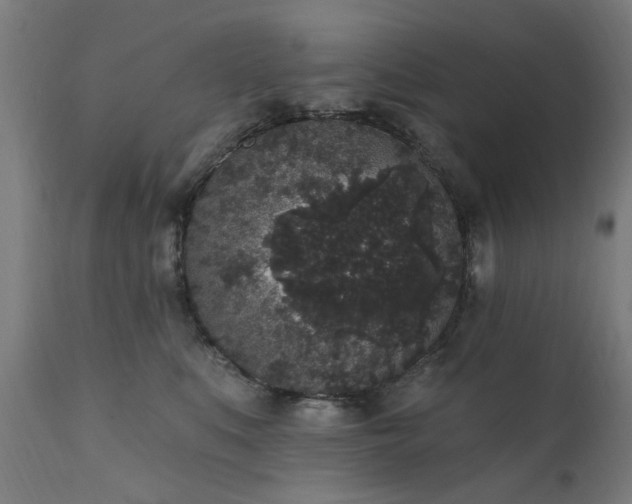 X0000111830519200907301323