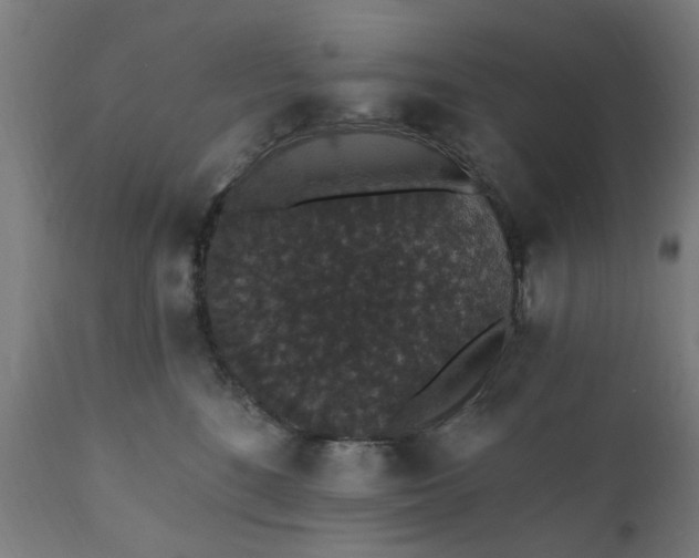 X0000111830520200907301323