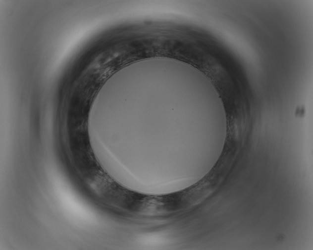 X0000111830526200907301323