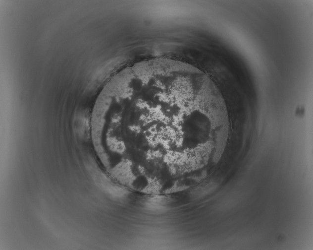 X0000111830527200907301323