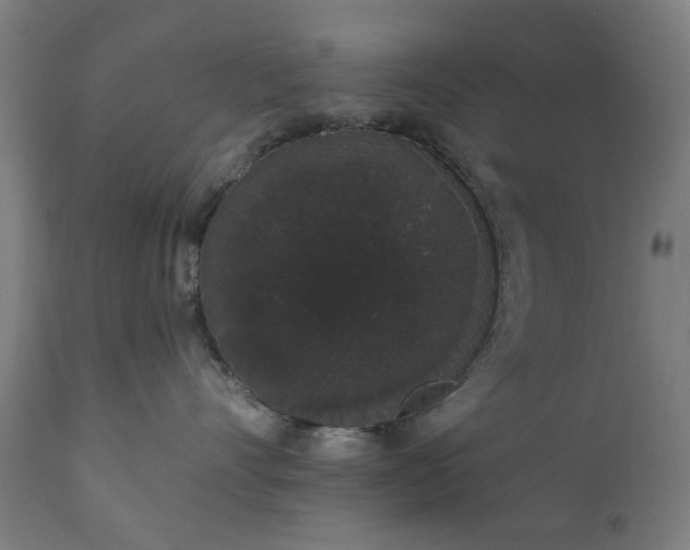 X0000111830528200907301323