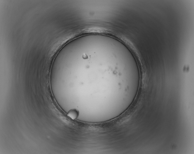 X0000111830529200907301322