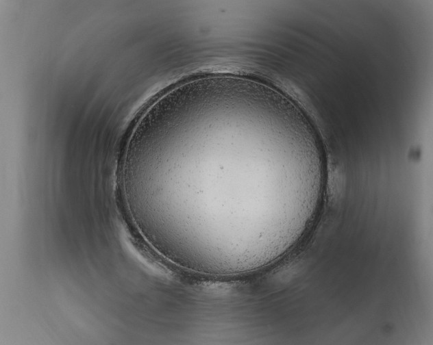 X0000111830530200907301322