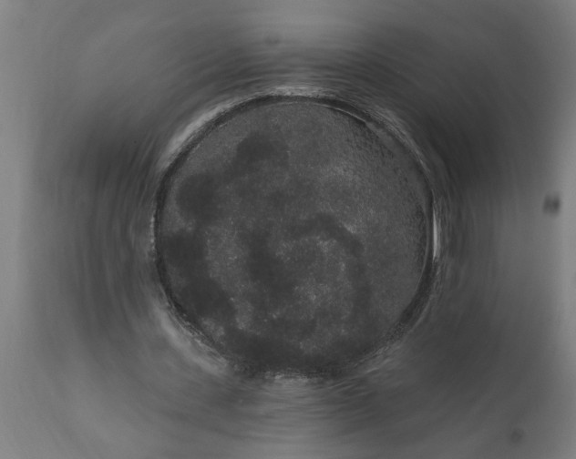 X0000111830531200907301322