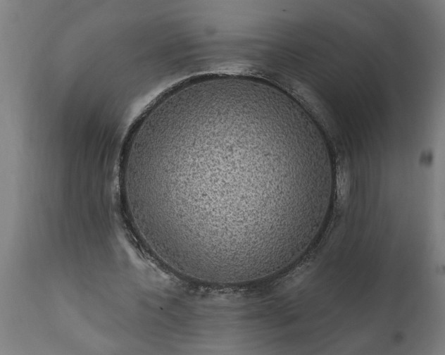 X0000111830532200907301322
