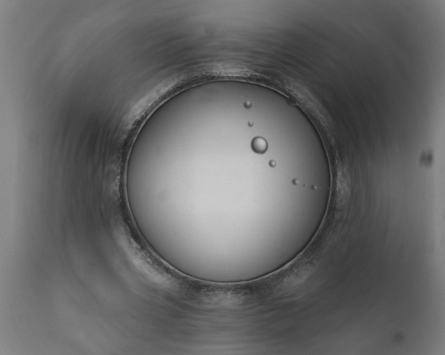 X0000111830533200907301322