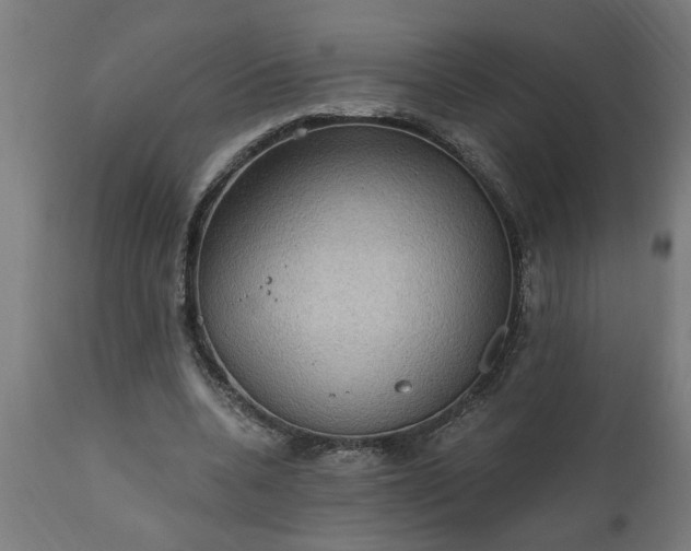 X0000111830536200907301322