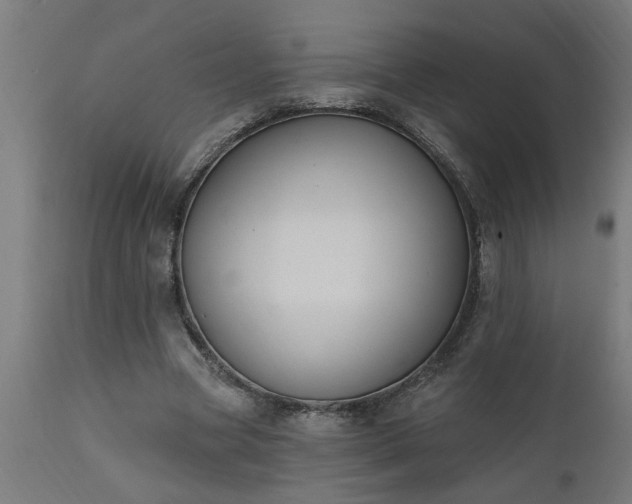 X0000111830537200907301322