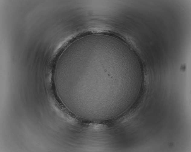 X0000111830539200907301322
